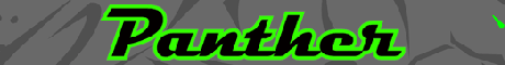 Accès au site web Panther