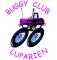 AccÃ¨s au site web Buggy Club Luparien